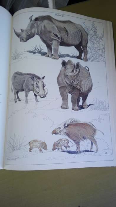 THE MAMMALS OF THE SOUTHERN AFRICAN SUBREGION BY REAY H N SMITHERS First Edition 1983