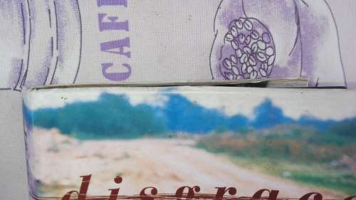 DISGRACE J M COETZEE  ( First Edition  Hard cover )