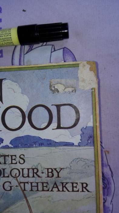 ROBIN HOOD BY HARRY G THEAKER 24 Colour Plates around 1934  Vintage Classic