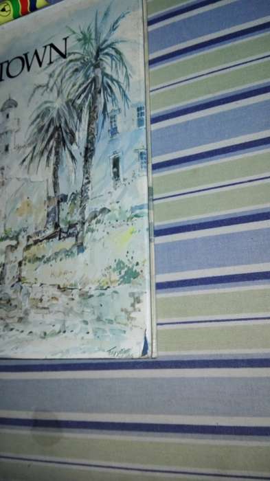 TONY GROGAN`S VANISHING CAPE TOWN Text BRIAN BARROW