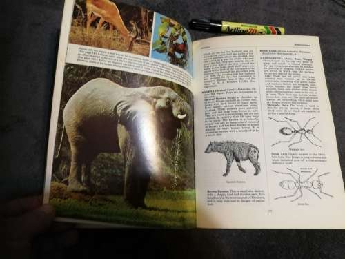 ENCYCLOPAEDIA RHODESIA ( Rhodesiana )