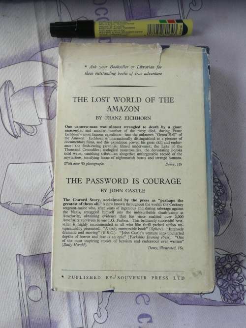 LONELY WARRIOR Editor VICTOR HOUART  Fighter Pilot Jean Offenberg Battle of Britain  aviation