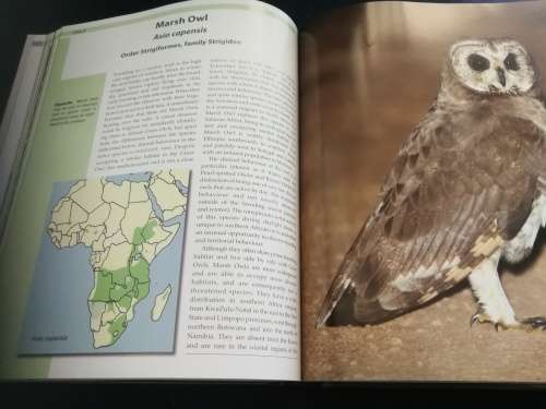 NOCTURNAL BIRDS of SOUTHERN AFRICA JOHN CARLYON PENNY MEAKIN SIGNED OWLS birds birding