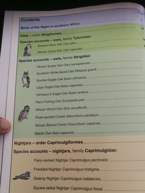 NOCTURNAL BIRDS of SOUTHERN AFRICA JOHN CARLYON PENNY MEAKIN SIGNED OWLS birds birding
