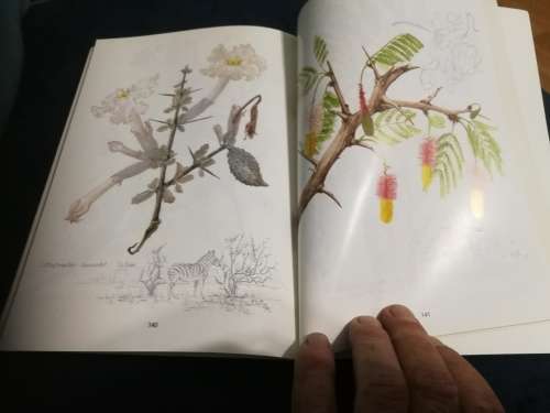 TREES and SHRUBS of the ETOSHA NATIONAL PARK CORNELIA BERRY  ( Northern Namibia )