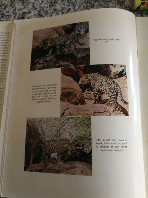THE LEOPARD PETER TURNBULL-KEMP ( TURNBULL KEMP )