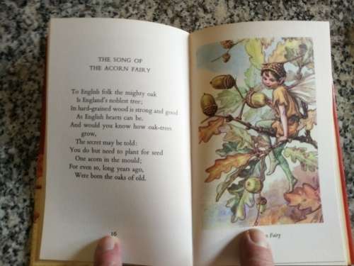 Reserved for Handwoven Artist CICELY MARY BARKER FLOWER FAIRIES OF THE SUMMER
