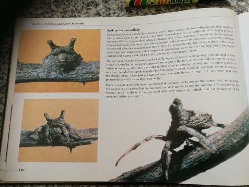 VELDFOCUS RONNIE WATT TEN YEARS OF NATURE`S WONDERS Dedicated to Prof. CHRISTO PIENAAR veld focus