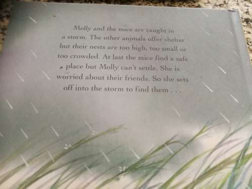 MOLLY AND THE STORM CHRISTINE LEESON GABY HANSEN
