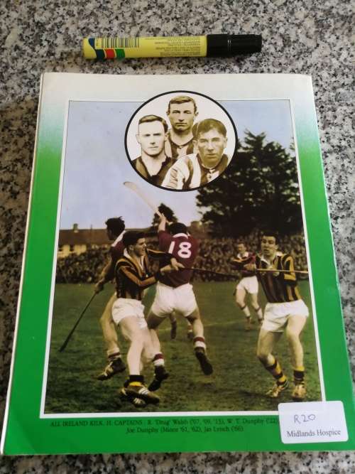 THE MOONCOIN STORY MOIN CUINN  ( Hurling  G A A Drug Walsh Bob O` Keeffe Kilkenny )