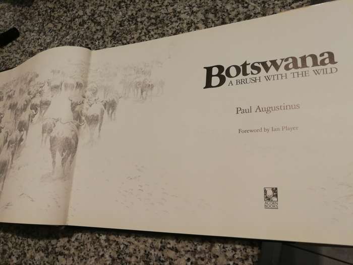 BOTSWANA A BRUSH WITH THE WILD PAUL AUGUSTINUS Foreword by Ian Player  ( wildlife )