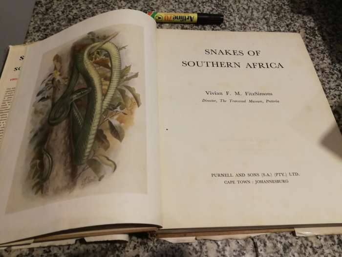SNAKES OF SOUTHERN AFRICA VIVIAN F M FITZSIMONS ( poor dust jacket )