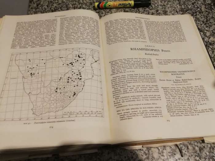 SNAKES OF SOUTHERN AFRICA VIVIAN F M FITZSIMONS ( poor dust jacket )