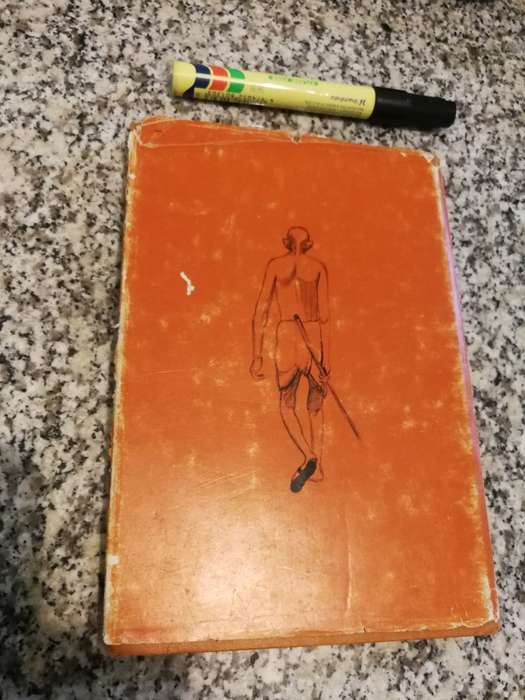 APPRENTICESHIP OF A MAHATMA FATIMA MEER ( Foreword Alan Paton )  Mahatma Gandhi )