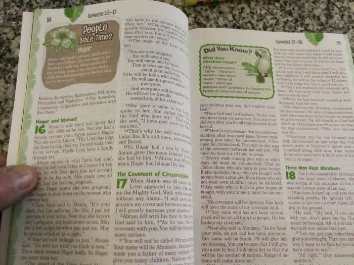 ADVENTURE BIBLE for EARLY READERS NIrV ( Children Children`s bible )