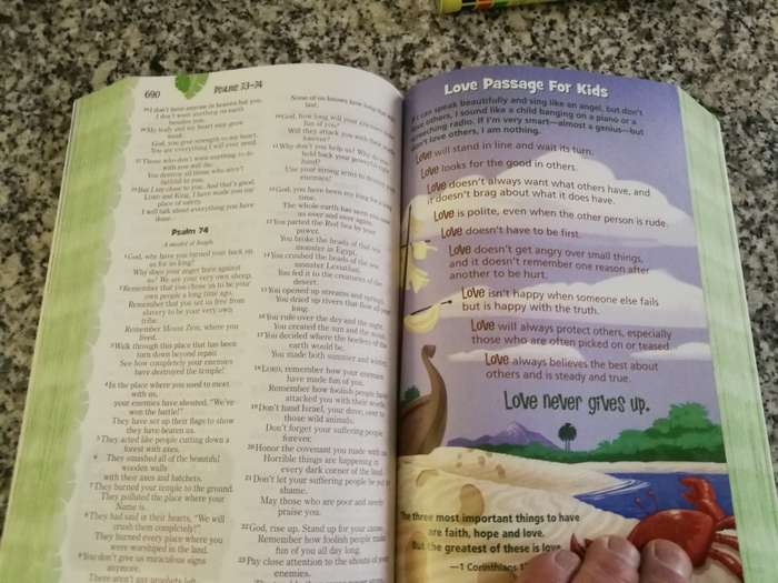 ADVENTURE BIBLE for EARLY READERS NIrV ( Children Children`s bible )