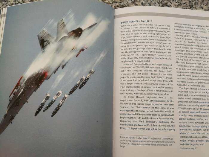 US MULTI ROLE FIGHTER JETS STEVE DAVIES ( Fighter Jets Aircraft Flight  aviation  )