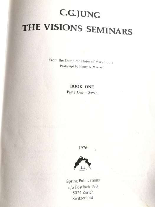 C G JUNG THE VISIONS SEMINARS Book ONE only  1976
