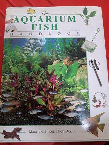 THE AQUARIUM FISH