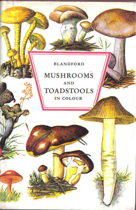 Mushrooms and Toadstools in Colour -- E & H Hvass