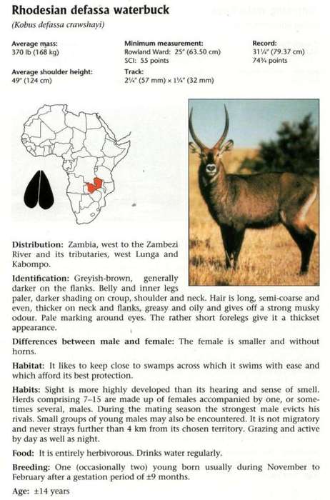 Hunting Africa - A Practical Guide - GP Swan DJ Botes PL Smit