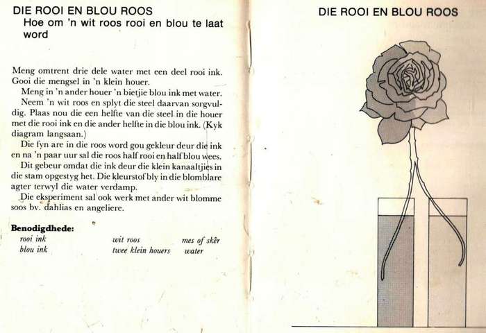 Eksperimente in en om die Huis  --  Kevin Goldstein-Jackson