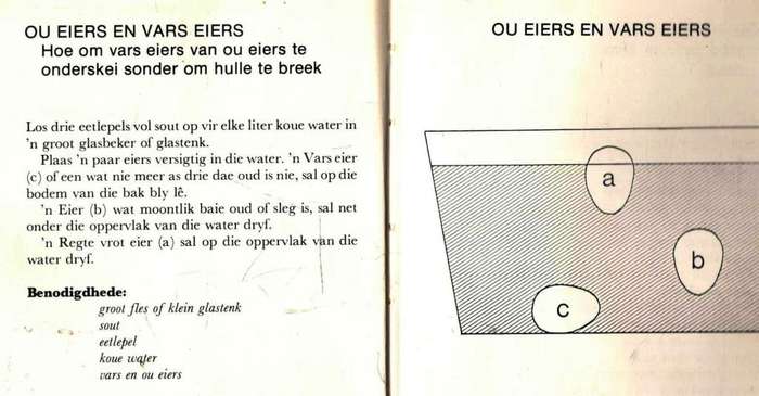 Eksperimente in en om die Huis  --  Kevin Goldstein-Jackson
