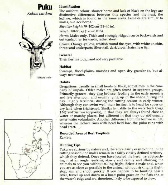 Hunting on Safari in East and Southern Africa  --  Aubrey Wynne-Jones