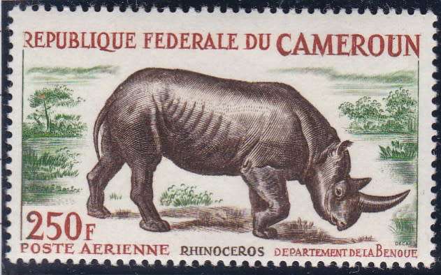 CAMEROON - 1964 RHINO, 250FR AIRMAIL SINGLE - FINE LIGHTLY M/M