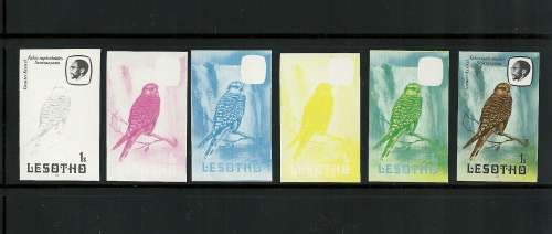 LESOTHO MNH BIRDS - IMPERF ARTISTs PROGRESSIVE PROOFs, 1s Greater Kestrel (6) (R385+)
