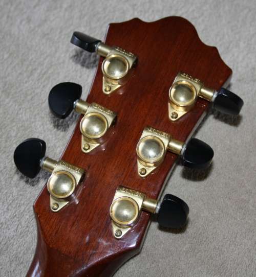 Dreambow Nashville-A Thinline Electro-Acoustic Guitar! - Planet Inlays.. STUNNING!!