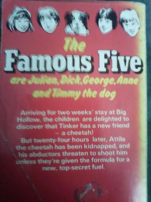 The Famous Five and the Missing Cheetah (Paperback) Enid Blyton