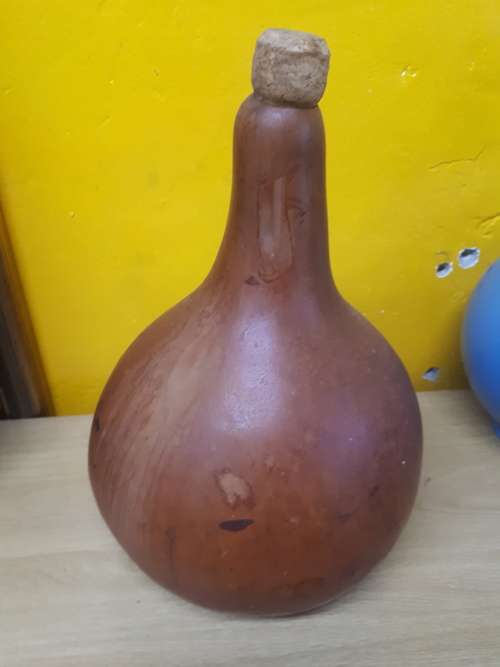 North African Wild Pumpkin Water Flask