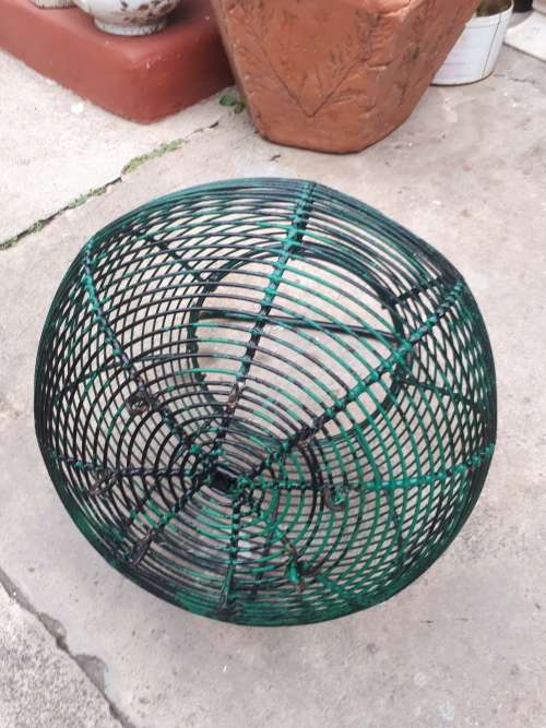 Painted Steel @ Wire Basket