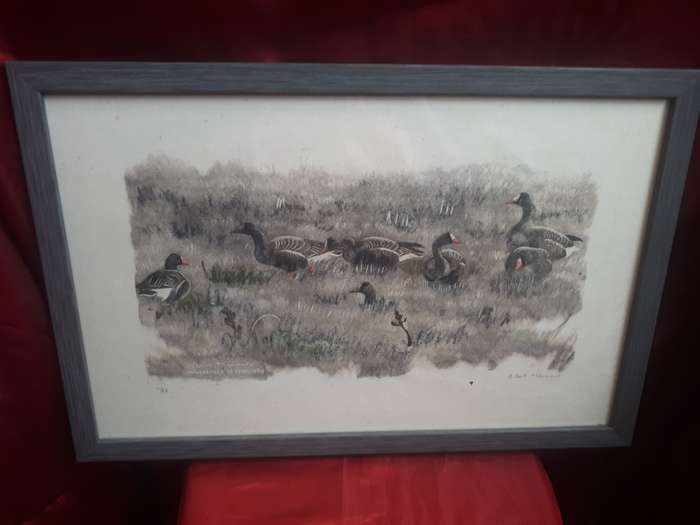 Famous Swiss Artist Robert Hainard (1906-1999) Limited`Numbered` Signed Stone Lithograph `Geese` 54`