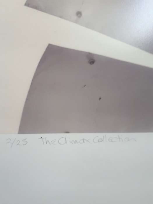 Popular SA Artist Sue Hoppe No 2 / 25 `The Climax Collection` Signed Sue Hoppe & Husband Max Hoppe