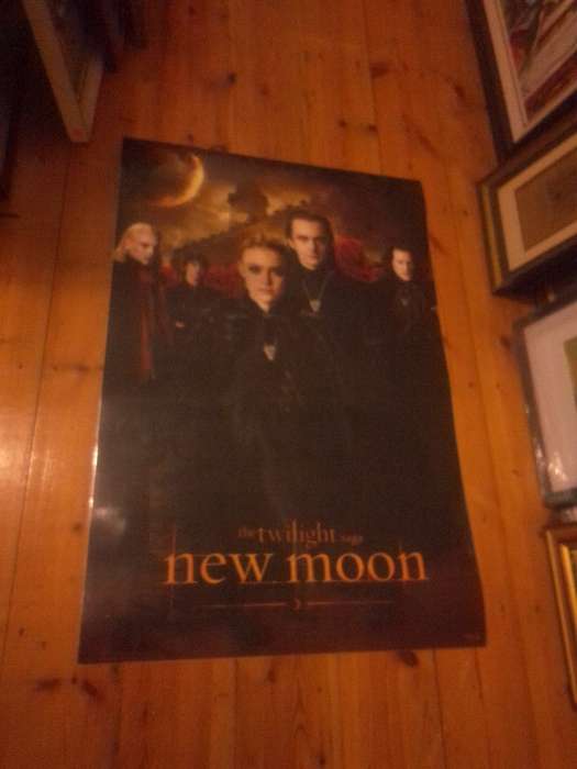 Official NECA (2008-2012) Vinyl Plastic Poster `The Twilight Saga` New Moon