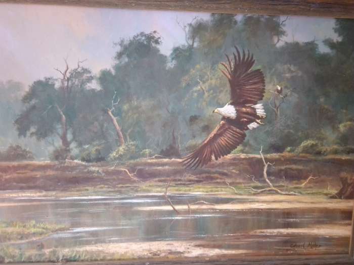Internationally Acclaimed 20th-C SA Artist Charl Moller Oil on Canvas 'Fish Eagle'