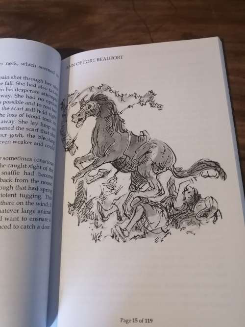ANN OF FORT BEAUFORT - Andre Jensen (Illustrated by Tony Grogan)