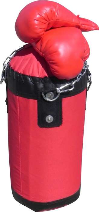 Junior Boxing Bag and Gloves