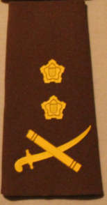 SADF Nutria Lieutenant General Shoulder rank