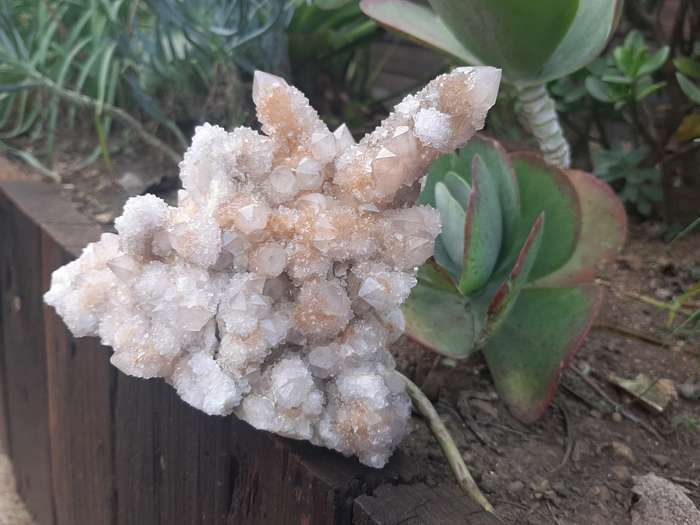 WHITE SPIRIT QUARTZ CLUSTER 1.355kg