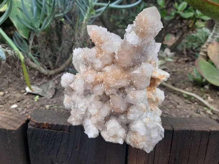 WHITE SPIRIT QUARTZ CLUSTER 1.355kg