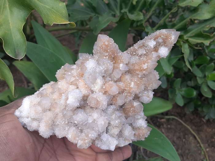 WHITE SPIRIT QUARTZ CLUSTER 1.355kg