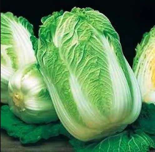 Pe Tsai / Michilli /  Hakusai / Wong Bok /  Chinese Vegetable Greens - 30 Seeds  - Heirloom