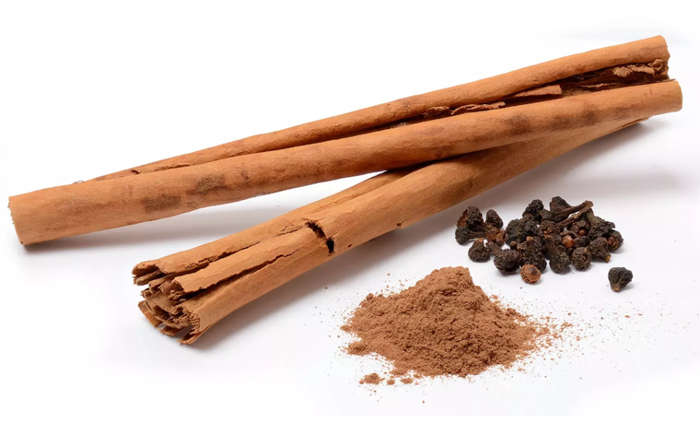 CINNAMON TREE / TRUE SRI LANKA CINNAMON / Cinnamomum verum - 10 SEEDS