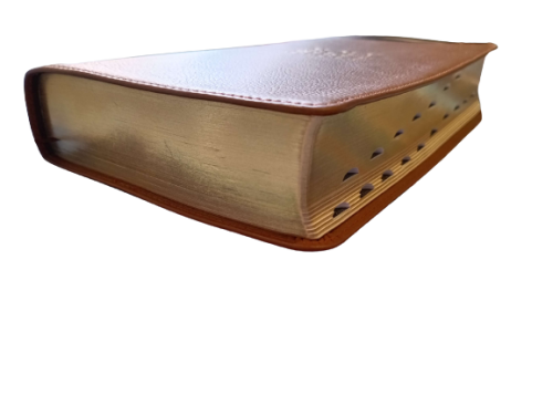 King James Version Giant Print Bible - Gold Gilding