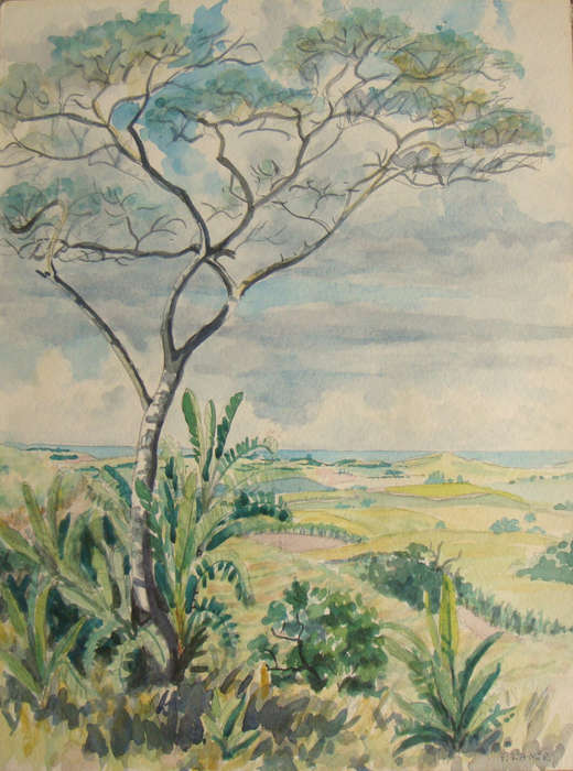 WOW ! !   -  BEAUTIFUL WATER COLOUR - ORGINAL - UNFRAMED -  By P. LANGE -  Size 480mm X 380mm