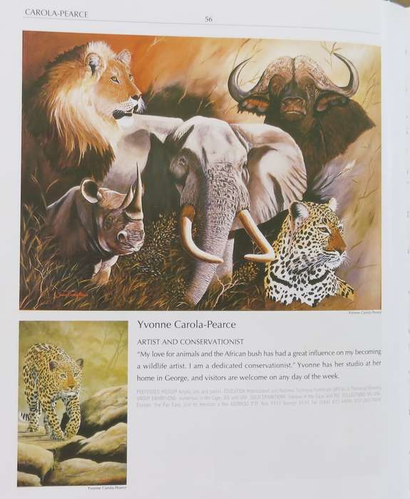 `RHINO`  -  BEAUTIFUL FRAMED OIL - Original !! -   by  Yvonne Carola-Pearce - Size 500mm x 425mm