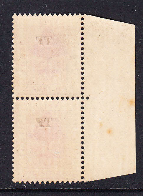 Orange Free State 1900 1d marginal TELEGRAPHS pair , MLH
